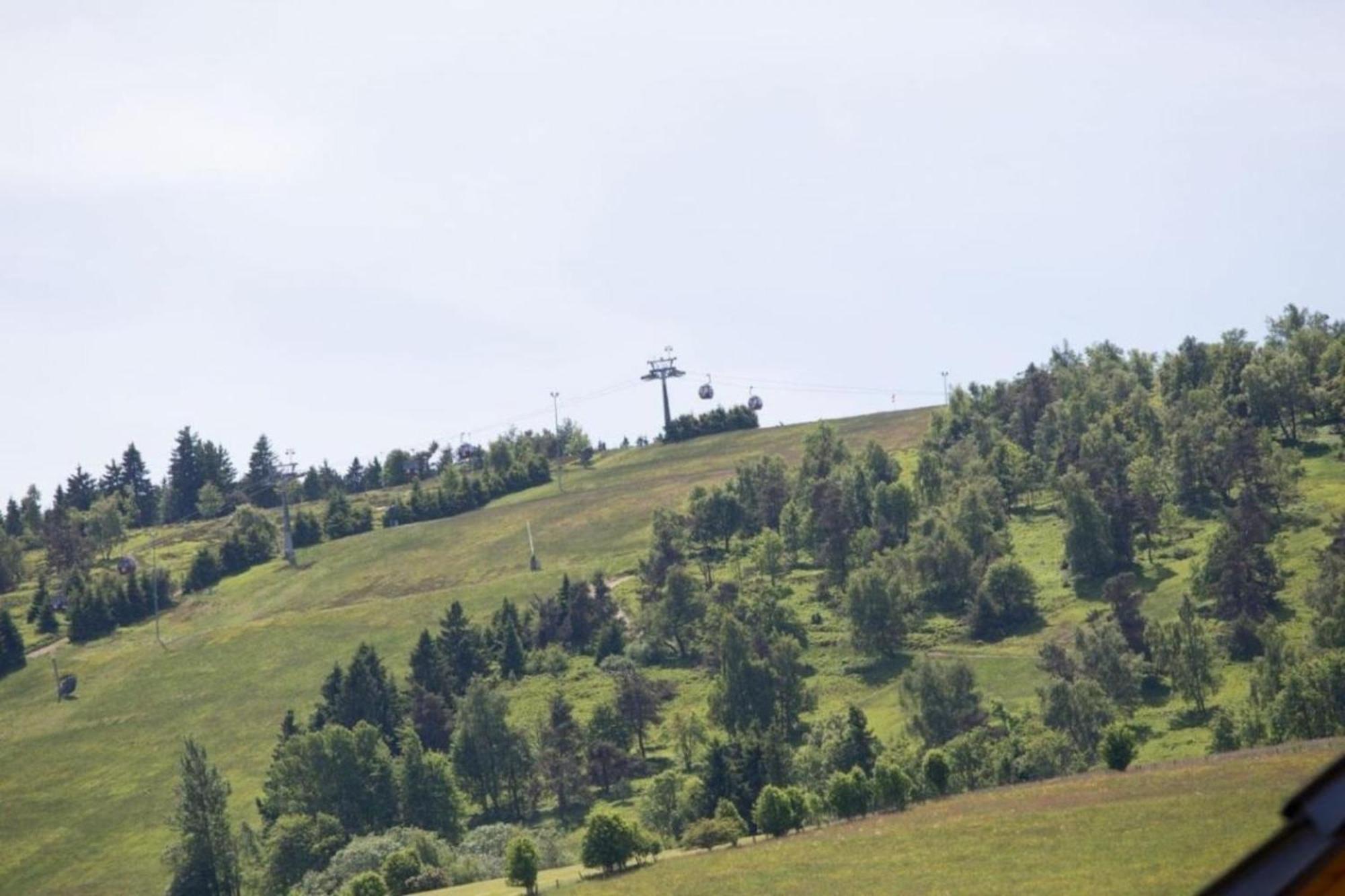 Ferienhaus Easy Holiday Am Ritzhagen Ehem Heinrichs Willingen (Upland) Exterior foto