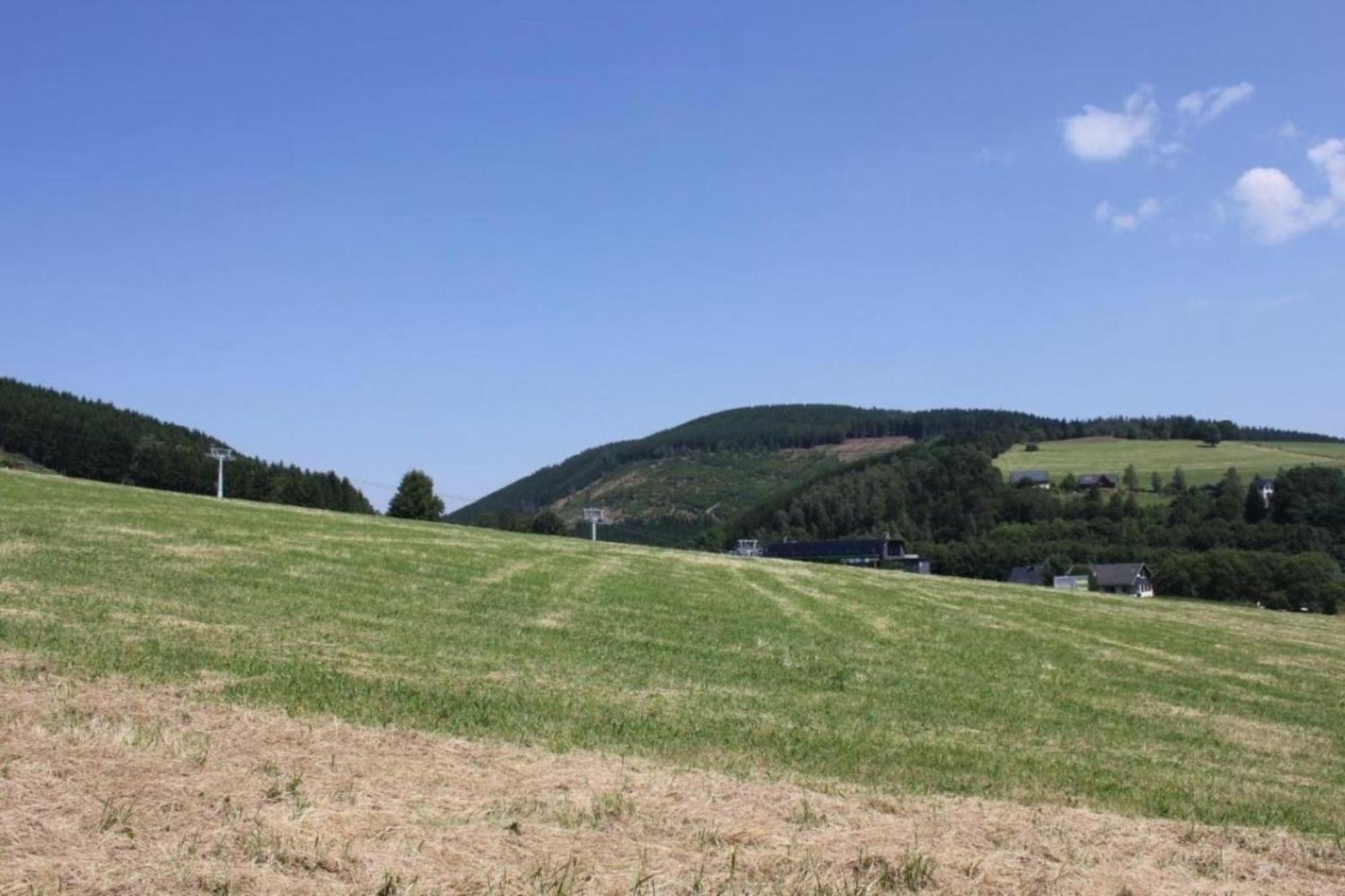 Ferienhaus Easy Holiday Am Ritzhagen Ehem Heinrichs Willingen (Upland) Exterior foto